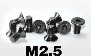 YFS 12.9등급 접시머리 M2.5 볼트10개