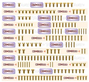 TWORKS GSS-A319E Gold Plated Steel Screw Set 154pcs. ( For Agama A319E )