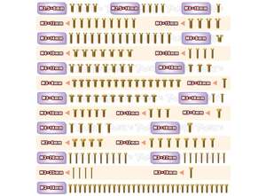 TWORKS GSS-NT482.0 Gold Plated Steel Screw Set 173pcs. ( For TEKNO NT48 2.0 )